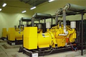 Cung cấp biên phiên dịch hiện trường nhà máy bột sắn Quy Nhơn- tập đoàn xây dựng số 1 quảng tây trung quốc