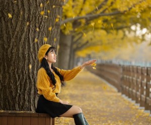 XUẤT NHẬP CẢNH CÁC NƯỚC TRONG KHỐI OECD TRONG VÒNG 1 NĂM TRỞ LẠI TÍNH TỪ NGÀY NỘP